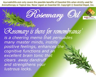 rosemary-banner