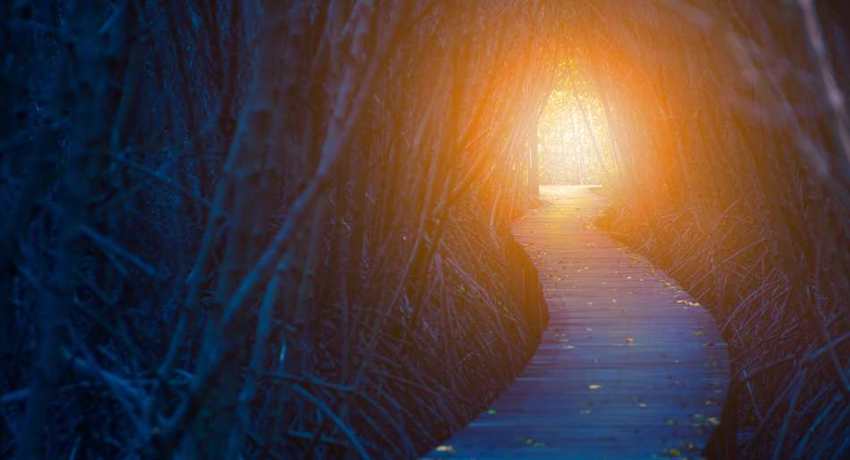 spiralroots-lightyourwayhome-heroesjourney